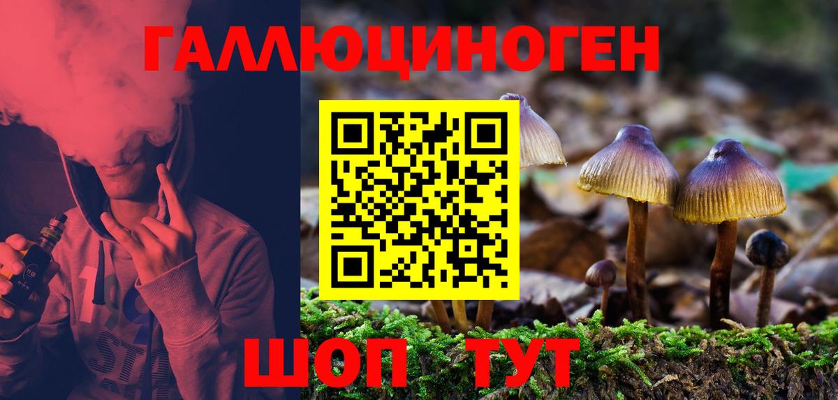 закладка  Псилоцибиновые грибы мицелий  Вход с VPN  Сафоново 