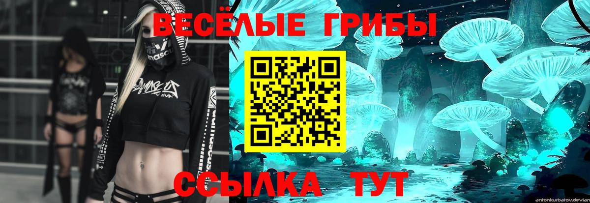 Галлюциногенные грибы MAGIC MUSHROOMS Сафоново
