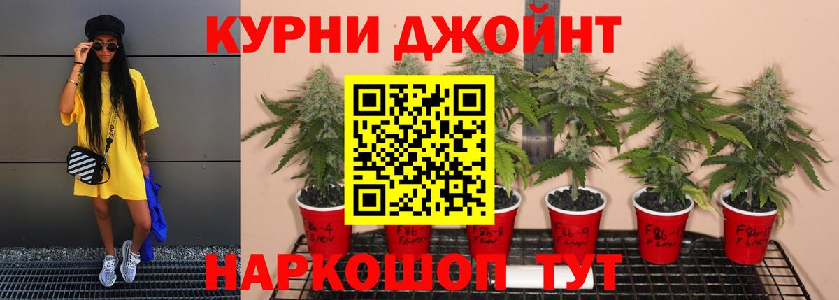 Бошки марихуана ГИДРОПОН  Вход с VPN  Сафоново  Канабис MAZAR  Марихуана Ganja 